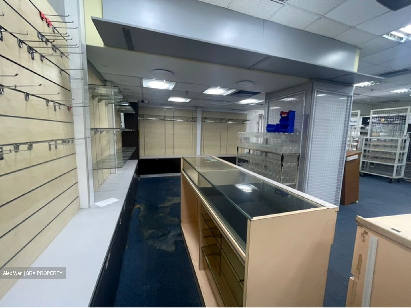 Sim Lim Tower (D8), Shop House #603693621